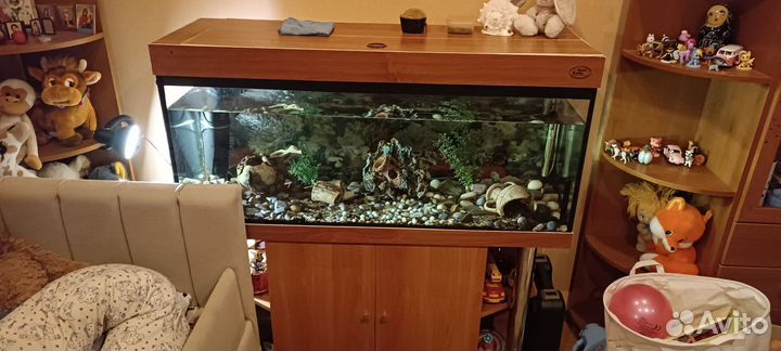 Аквариум