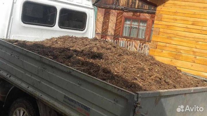 Куриный навоз