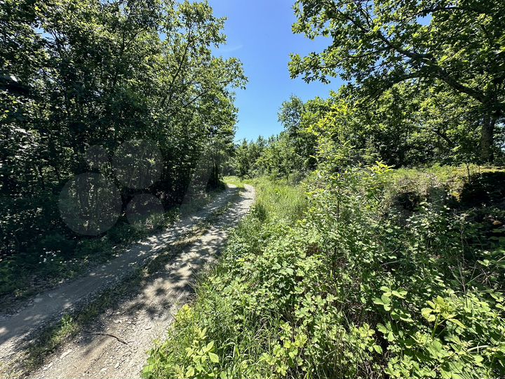 Участок 12 сот. (СНТ, ДНП)