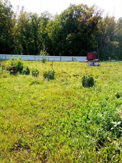 Участок 38 сот. (ИЖС)