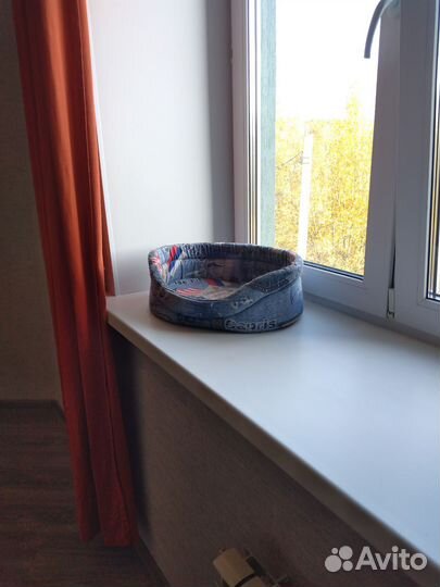 Домашняя гостиница для кошек