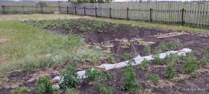 Дача 39,9 м² на участке 9 сот.