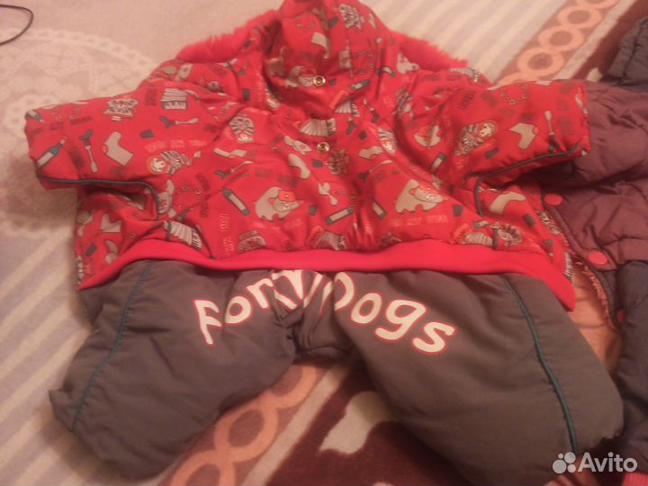 Одежда для маленьких собак