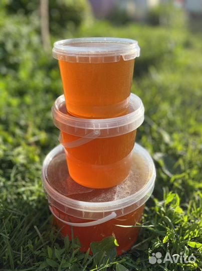 Майский Мед 2023