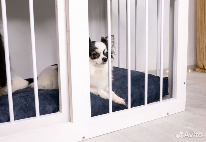 Вольеры для собак от производителя