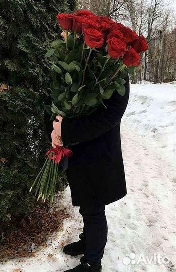 Высокие розы Гигантские Розы 150 160 170 180 190см