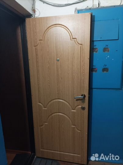 Дверь металлическая входная