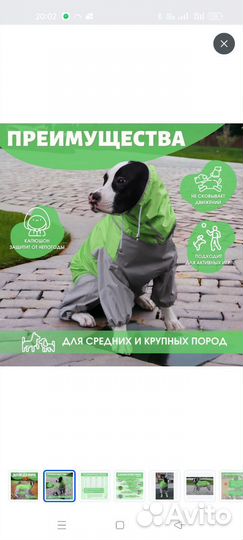 Комбинезон для средней собаки