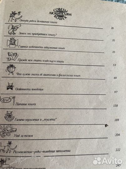 Советы любителям кошек