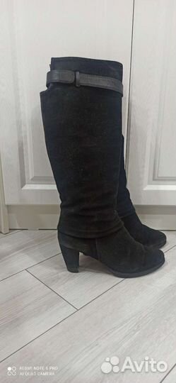 Сапоги женские
