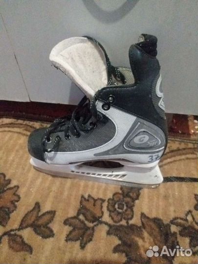 Коньки граф