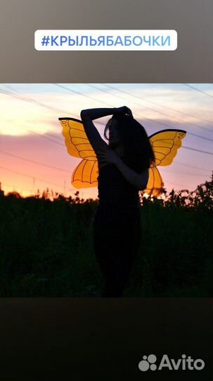 Крылья бабочки