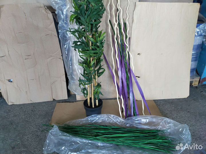 Декоративные кустарники