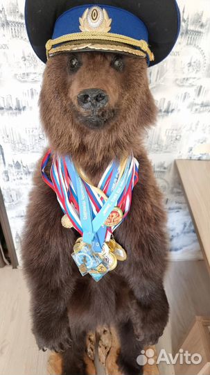 Чучело медвежонка (имитация)