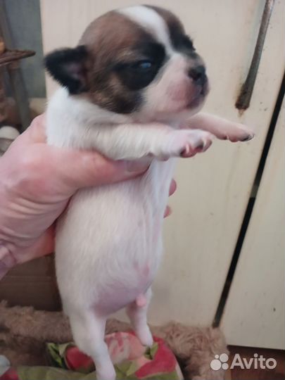 Бронирование