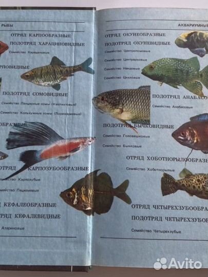 Аквариумистика