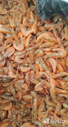 Креветка черноморская вареная