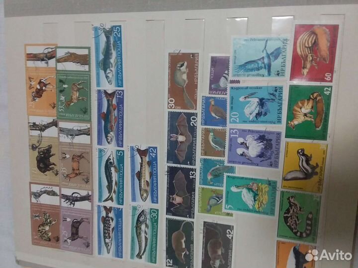 Альбом с марками
