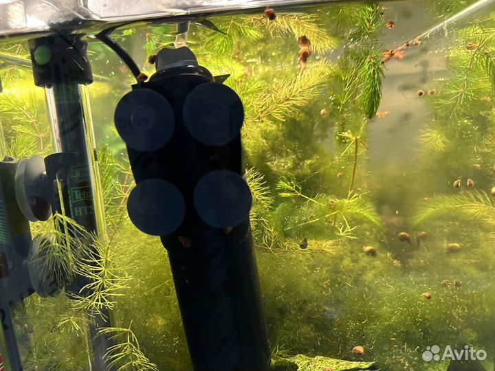 Продаю аквариум