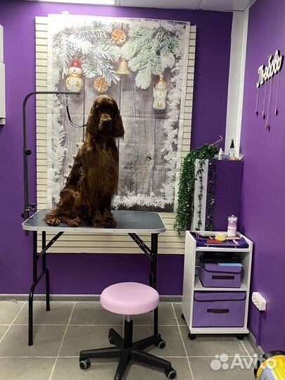 Стрижка собак