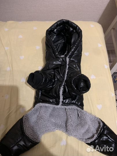 Одежда для маленьких собак s