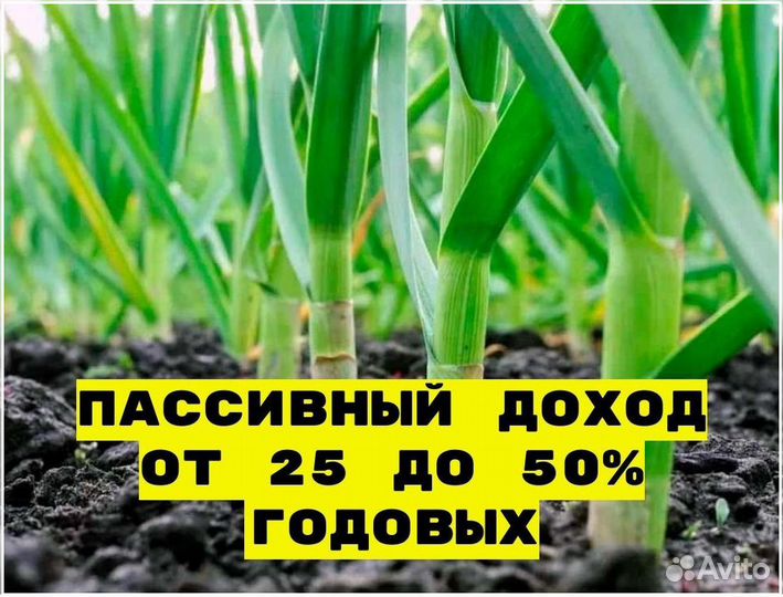 Ищу инвестора для развития бизнеса