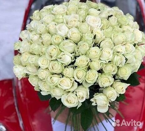 101 роза цветы букеты доставка 25 51 101 роза