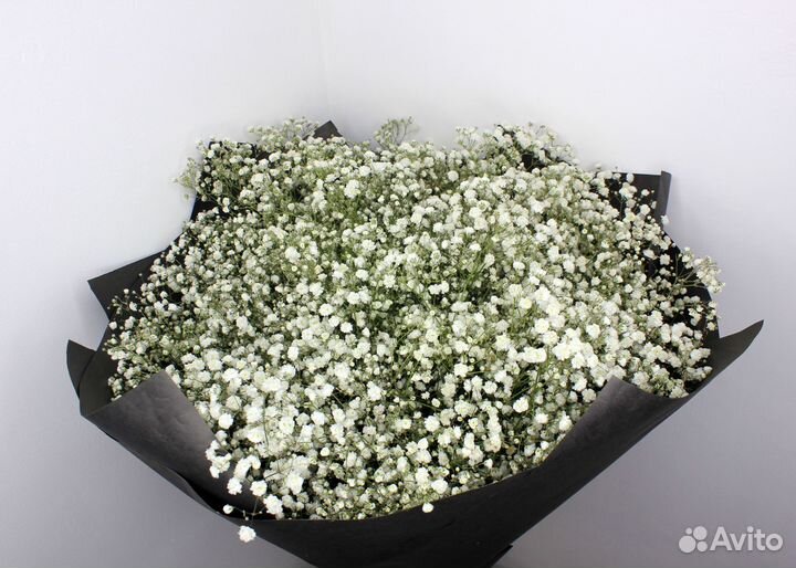 Букет Гипсофил. Гипсофила