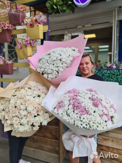 Хризантемы, букет гигант, доставка цветов