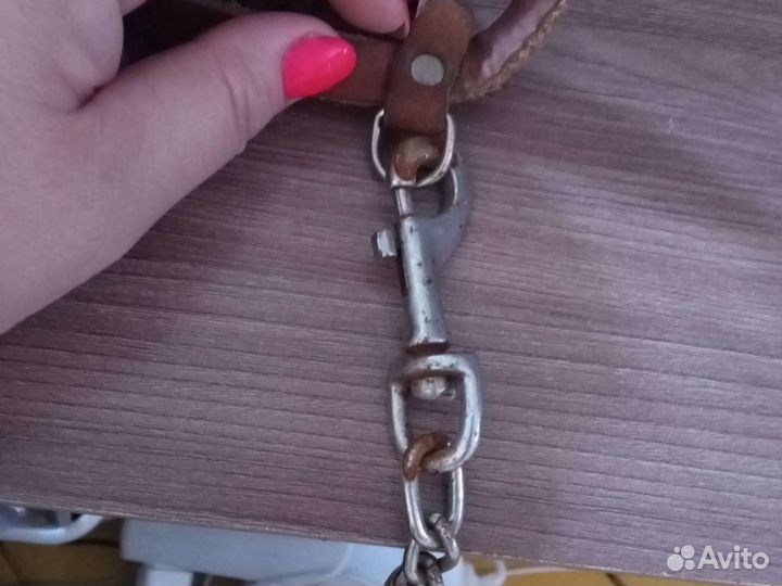 Шлейка для маленькой собаки