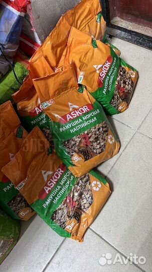 Ракушка морская-кормовая