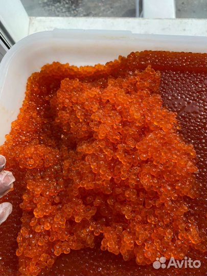 Икра красная