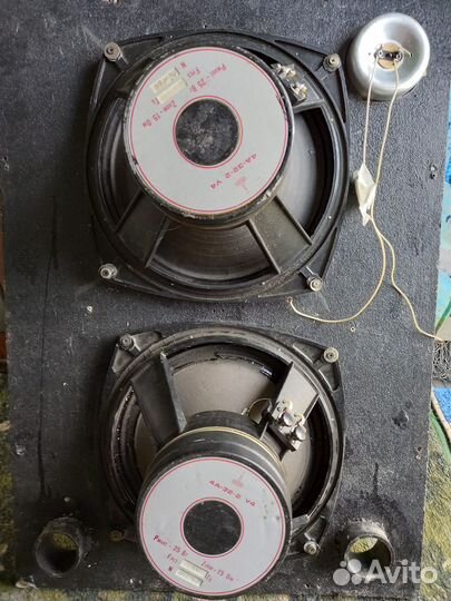 Концертная акустика