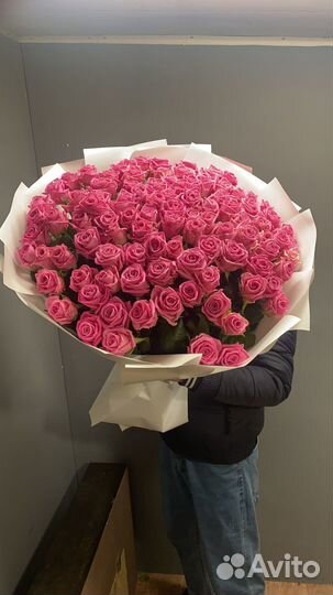 Роза 21.31.51.101. Ароматная роза