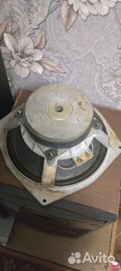 Динамики нч