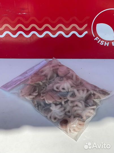 Осьминог молодой 1 кг. с/м