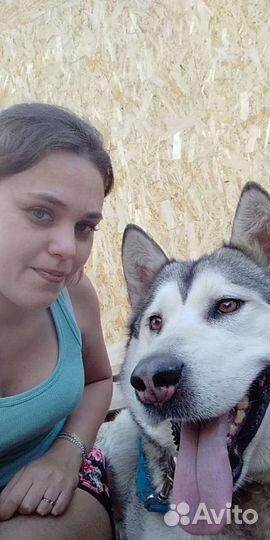 Инструктор-кинолог, зоопсихолог