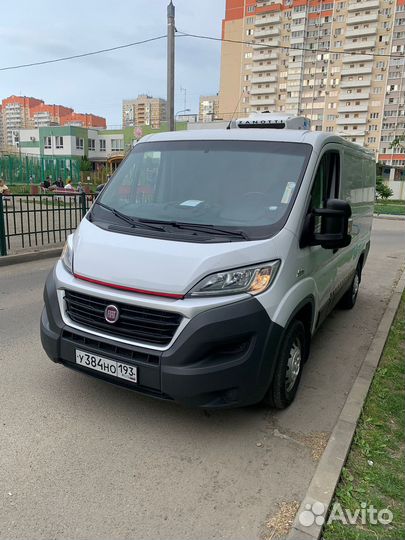 Услуги рефрежератора