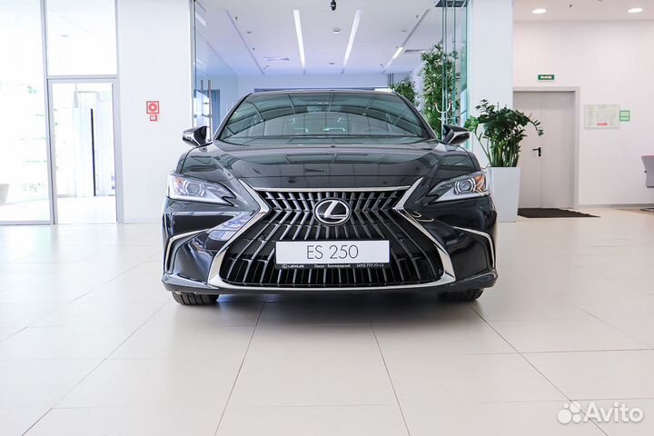 Lexus ES 2.5 AT, 2023