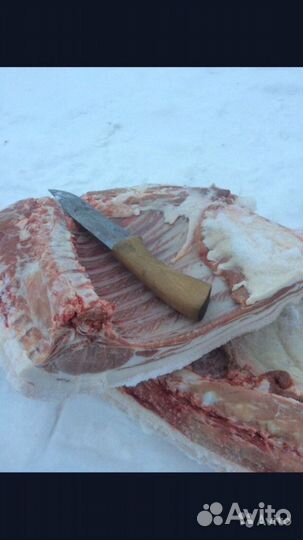 Мясо свинина