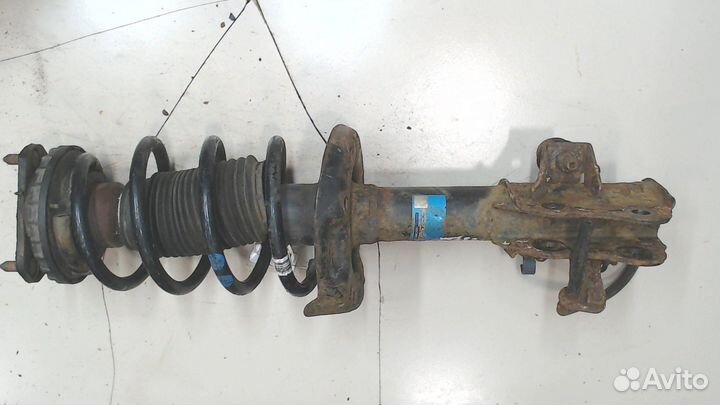 Амортизатор подвески Honda Civic, 2006