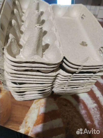 Ячейки для яиц