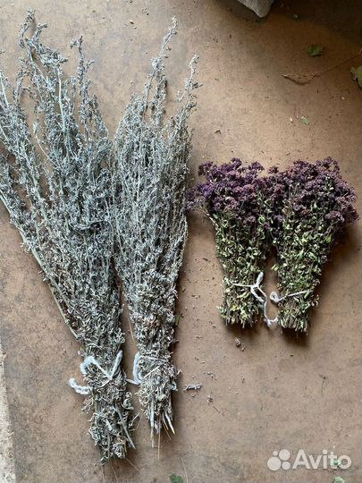 Полынь и душица