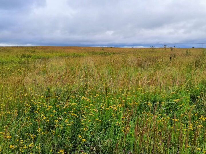 Участок 20 сот. (ИЖС)