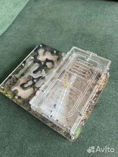 Продам муравьину ферму без муравьев