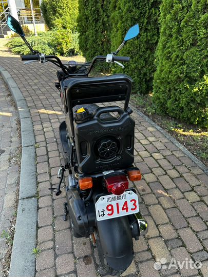 Honda zoomer af58