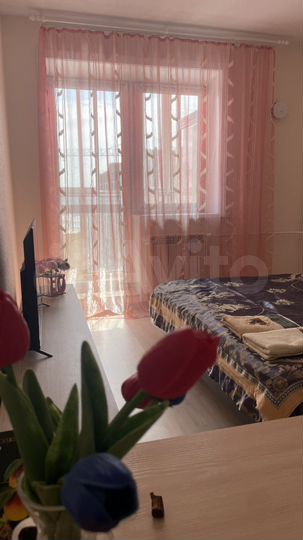 Квартира-студия, 31 м², 15/16 эт.