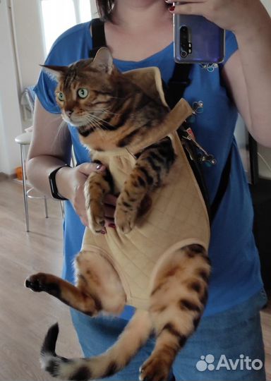 Переноска кенгуру для кошек и собак