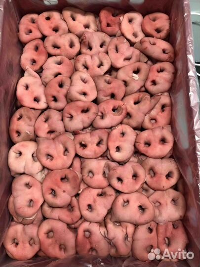 Свиные пятачки