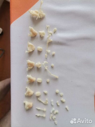 Флагелланты Warhammer FB